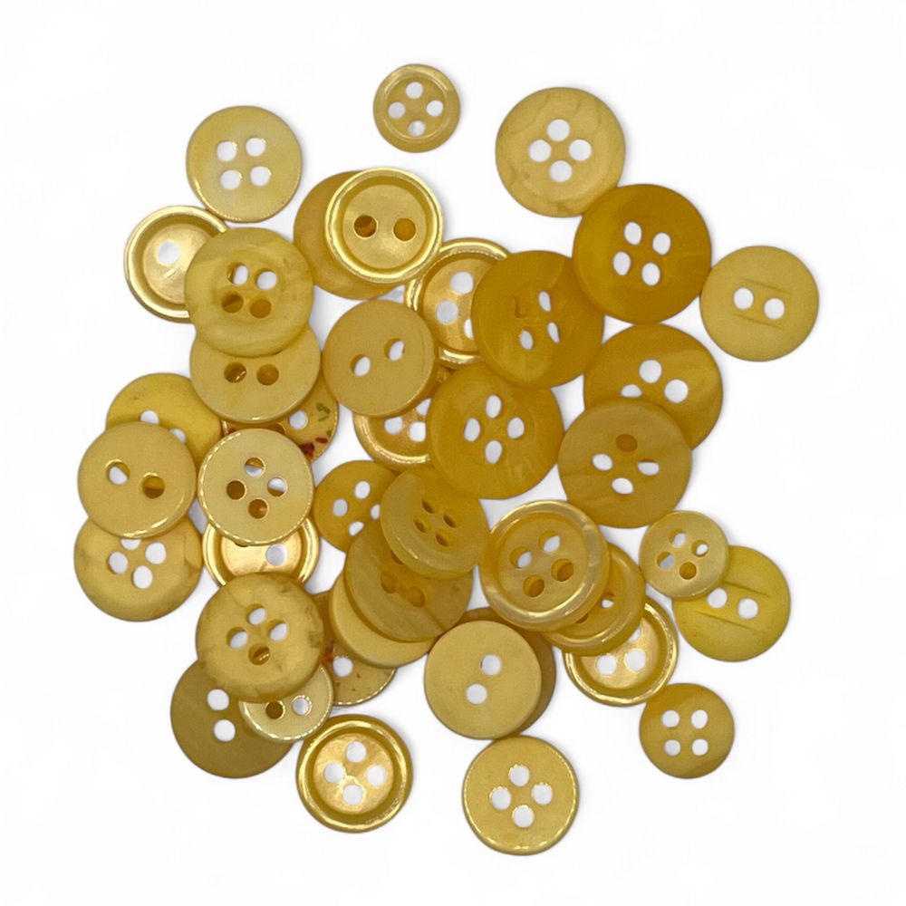 Cactus Canvas DIY Craft Kit