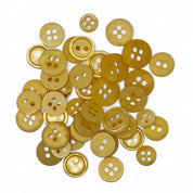 Cactus Canvas DIY Craft Kit