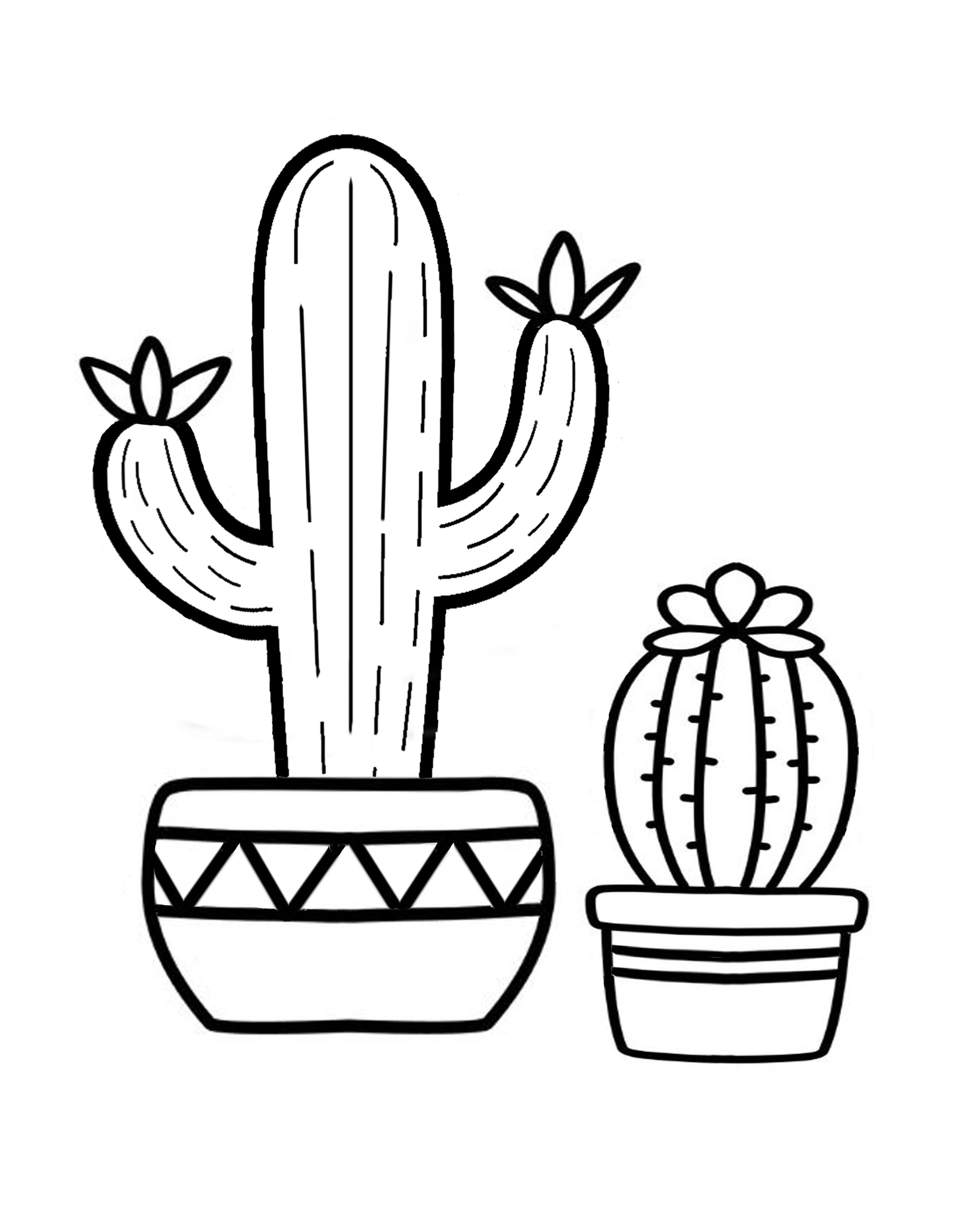 Cactus Canvas DIY Craft Kit