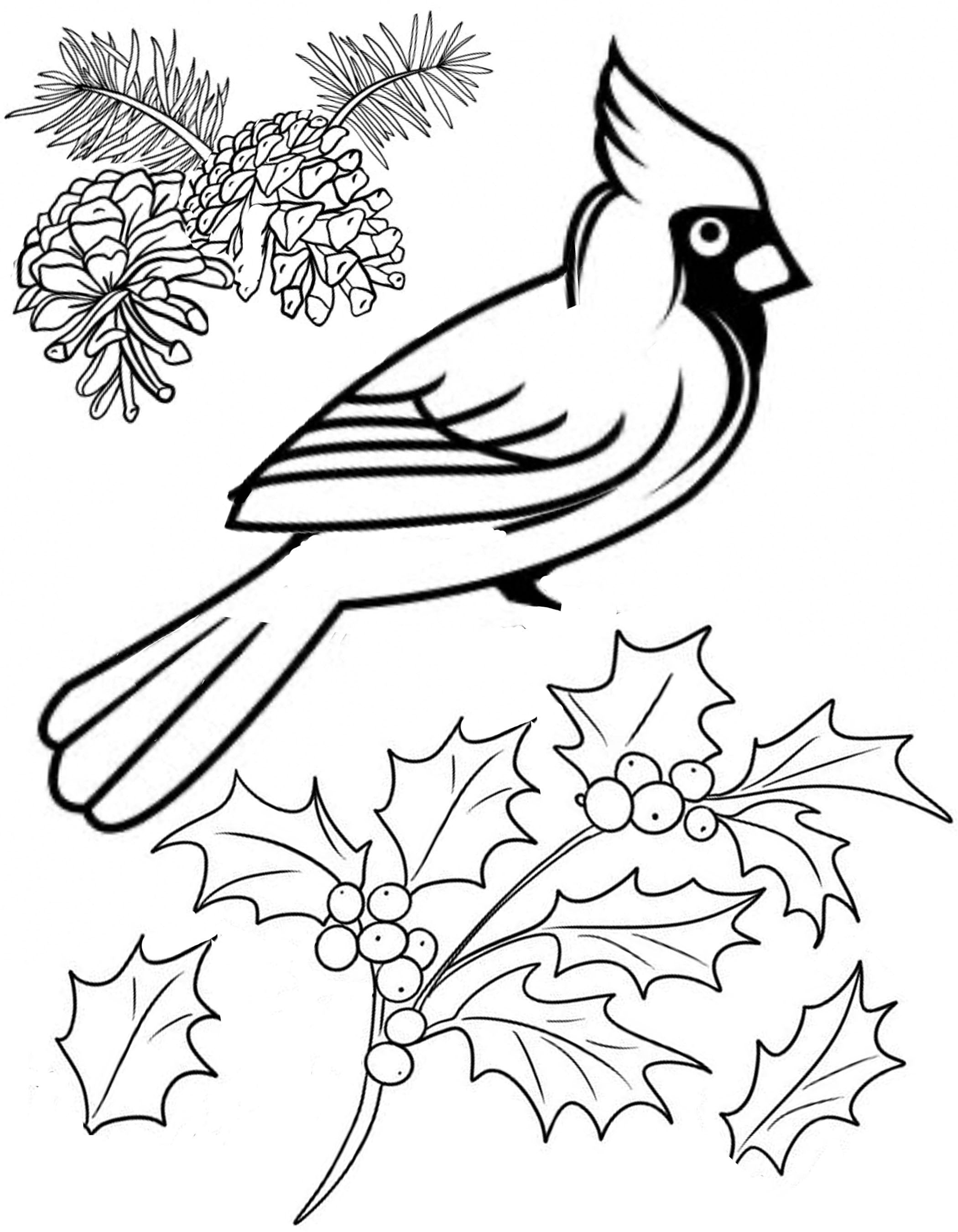 Cardinal Canvas DIY Craft Kit