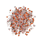 Bunny Trail - Buttons Galore and More