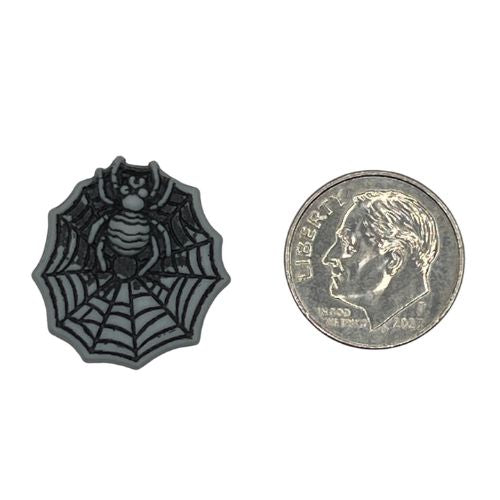 B776_Spider_and_web_dime.jpg