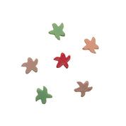 Sea Stars
