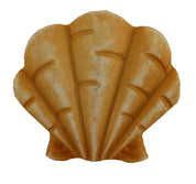 Fan Seashell Button - Buttons Galore and More