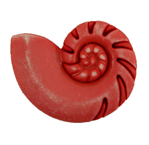 Nautilus Seashell - Buttons Galore and More