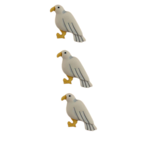 Seagulls - 1